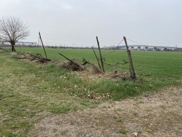 Rustico indip. da ristrut. cambio di destinazione e terreno a Baganzola - Foto 8