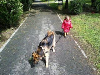 LEX, splendido lupetto