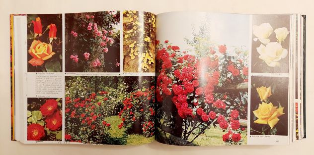Giardinaggio senza problemi.Guida completa 1°Ed.Selezione Reader’s Digest, - Foto 7