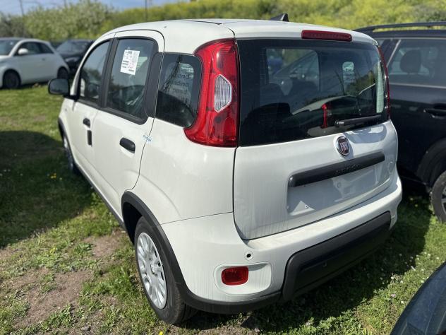 FIAT Panda Panda 1.0 FireFly S&S Hybrid Pop - Foto 6