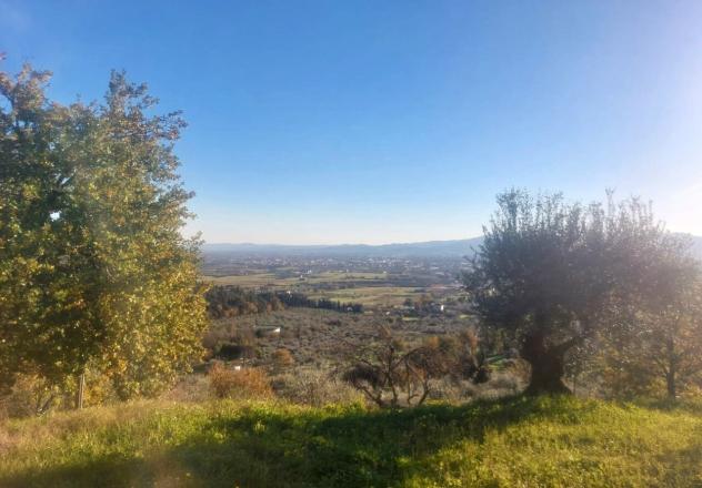 Singola in vendita a Pistoia - Foto 3