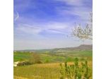 Agriturismo Pecaia