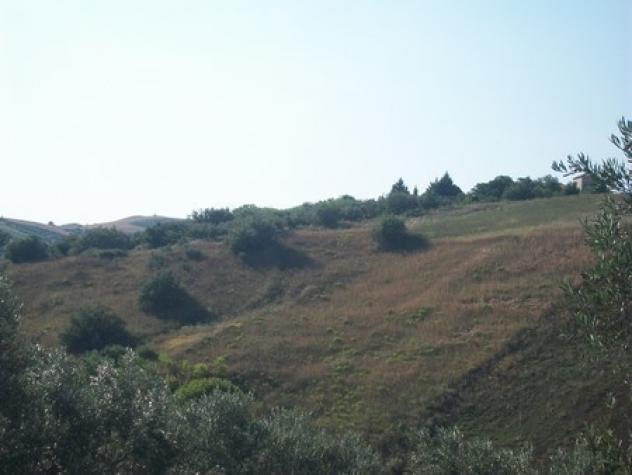 Uliveto in vendita a Lanciano - Foto 16