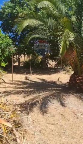 Terreno in vendita a Rosolini - Foto 10