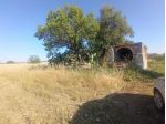 Area verde in vendita a Triggiano