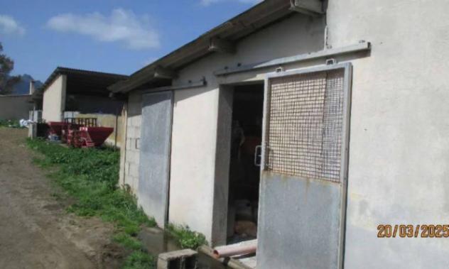 Immobile in asta di 762715 m² in vendita a Guspini - Foto 4