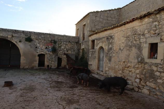 Cascina/Casale in vendita a Ragusa, Ibla - Foto 20