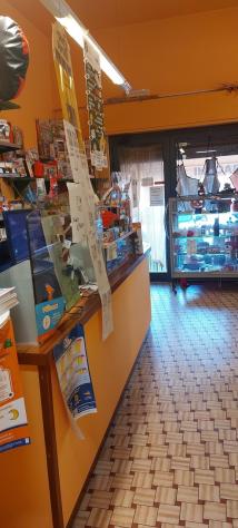 Appartamento in vendita a Castelnuovo Magra - Foto 4