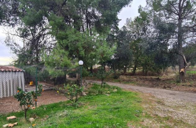 Immobile in asta di 325 m² con più di 5 locali in vendita a Larino - Foto 4