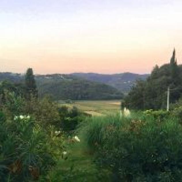 Fattoria Le Vegre S.S. Societa Agricola - Foto 3