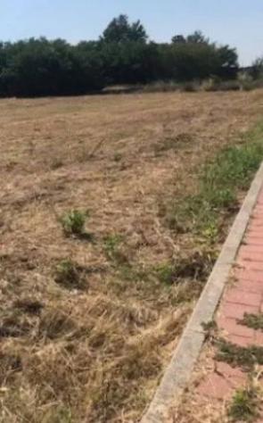 Immobile in asta di 2526 m² in vendita a Casalpusterlengo - Foto 4