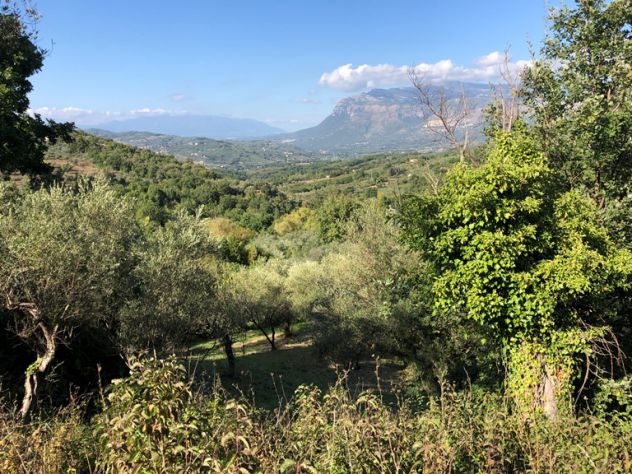 Roccadaspide loc.Cesine terreno con uliveto e ruderi - Foto 4
