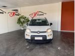 FIAT Panda Panda 1.0 firefly hybrid City Life s&s 70cv 5p.ti