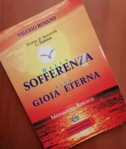 Dalla Sofferenza alla Gioia Eterna - di Valerio Rosano - Vol 1 La Pazienza - Foto 2