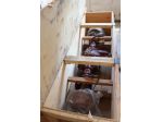 Ponte DAILY FRENI A TAMBURO 35.10-35.12