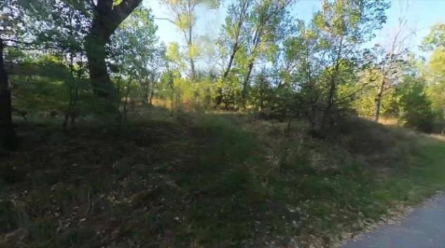 Immobile in asta di 9967 m² in vendita a Castellarano - Foto 5