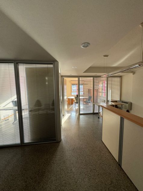 ERBA UFFICIO CON BOX
