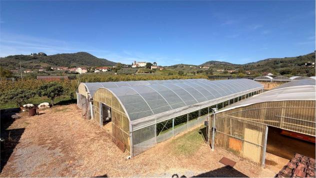 Fattoria LUCCA - Lucca, Moriano – Ampia Proprietà Agricola con Casale, Capanna e 1,6 Ettari di Terreno - Foto 17