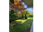 Appartamento in vendita a Ronchi - Massa 95 mq  Rif: 1432051