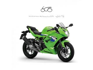 KAWASAKI NINJA 125 ABS . rif. 19948795
