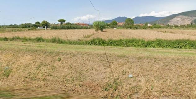 Terreno agricolo in vendita a San Frediano a Settimo - Cascina 5040 mq  Rif: 1402766