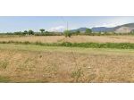 Terreno agricolo in vendita a San Frediano a Settimo - Cascina 5040 mq  Rif &hellip;