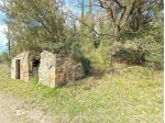 Terreno agricolo in vendita a Le Badie - Castellina Marittima 11550 mq  Rif &hellip;