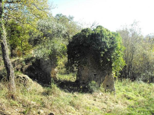 Agricolo in Via Salicuneta - Foto 9