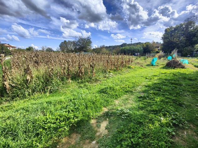 Agricolo in Località Gruccia - Foto 7