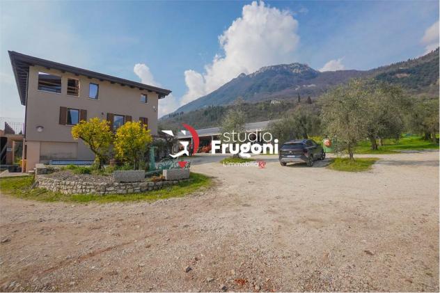 vf911 - TENUTA CON 2 ETTARI E ANNESSI AGRICOLI - Foto 19