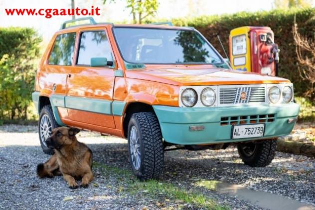 FIAT Panda 4 x 4 leggi 4 ruote, ruoteclassiche cgamotors.it rif. 14504944 - Foto 5