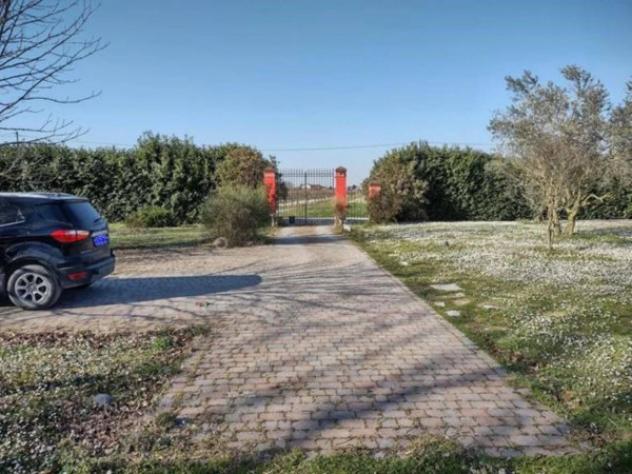 Immobile in asta di 313 m² con più di 5 locali in vendita a Cesena - Foto 6