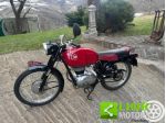 GILERA 175 Sport Sport iscritta FMI rif. 23899355