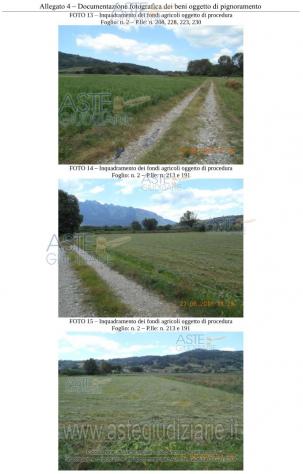 IMMOBILI-ALTRA CATEGORIA-Contrada Cerrocupo - Foto 2