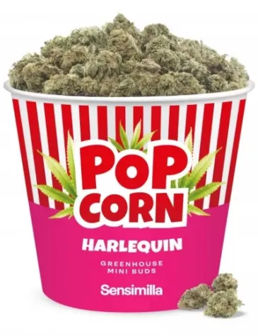Harlequin Popcorn