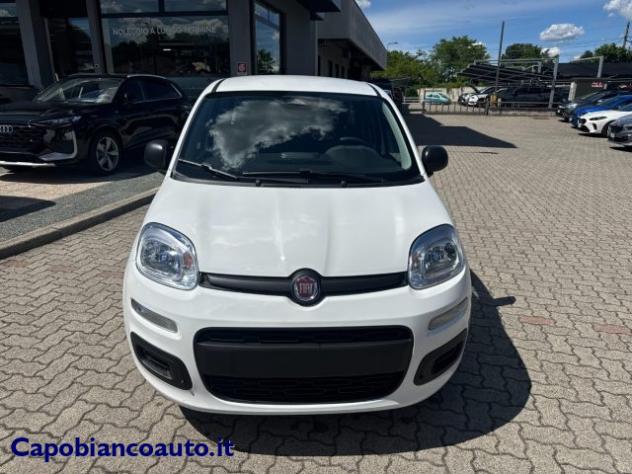 FIAT Panda 1.0 FireFly S&S Hybrid POP KM0 PROMO rif. 23776922 - Foto 2