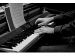 Pianista e organista a Pavia