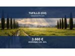 Immobile in asta di 10310 m² in vendita a Tufillo