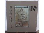 DIAPOSITIVA 378 SEI STORIA DELL'ARTE - SCULTURA - MICHELANGELO - MADONNA DELLA S