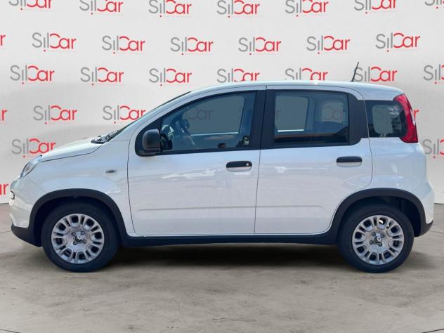 FIAT Panda 1.0 FireFly 70cv S&S Hybrid - Foto 3