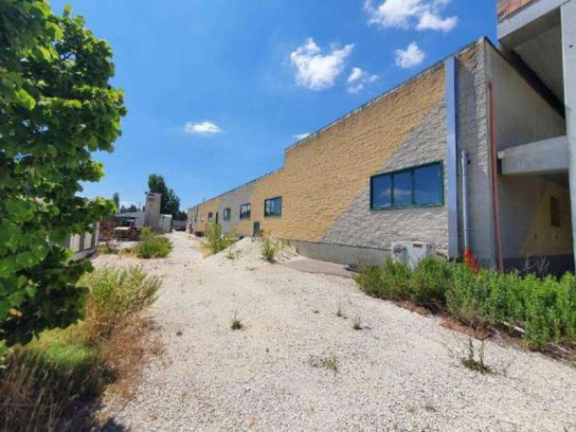 Immobile in asta di 4295 m² in vendita a Bevagna - Foto 6