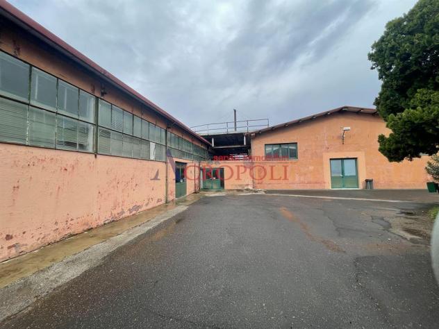 Capannone - Rif. 2583 - Foto 11