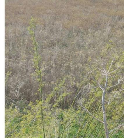 Immobile in asta di 38 m² in vendita a Salemi - Foto 5