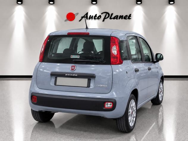 Fiat Panda 1.0 FireFly S&S Hybrid - Foto 2