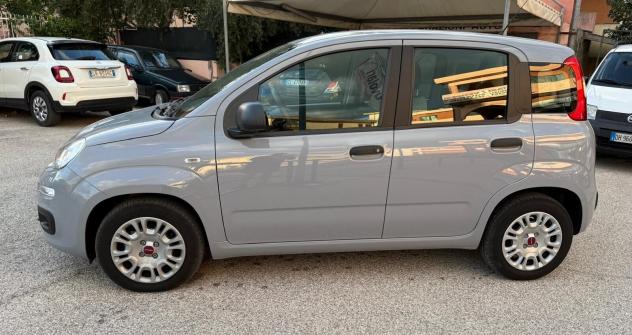Fiat Panda 1.0 FireFly S&S Hybrid - Foto 2