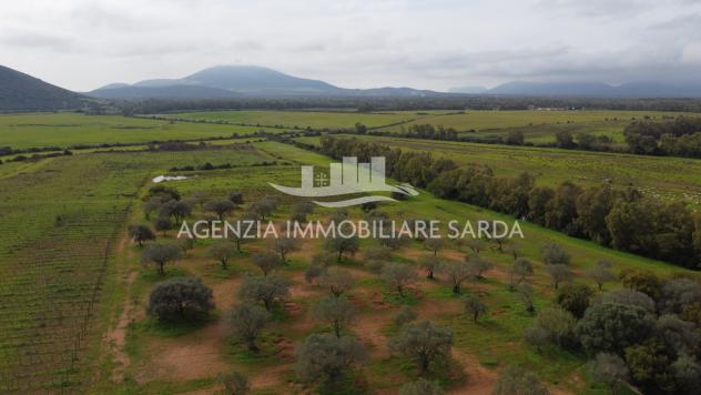 Terreno edificabile in vendita a Alghero