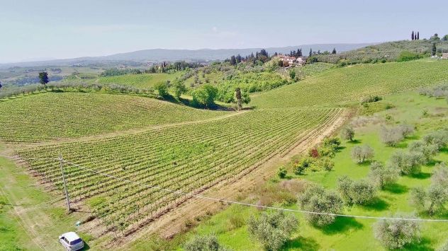 Ettari di VIGNA - Colli fiorentini - Foto 2