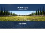 Immobile in asta di 367209 m² in vendita a Lajatico