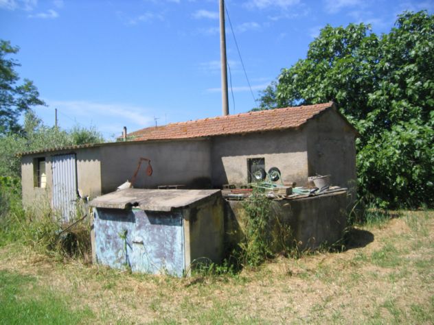 Terreno con anesso e pozzo - Foto 4