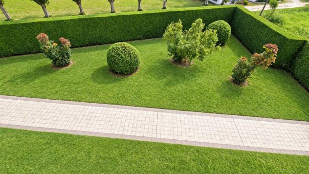 Appartamento 5 locali - Rif. 2520 - Foto 4